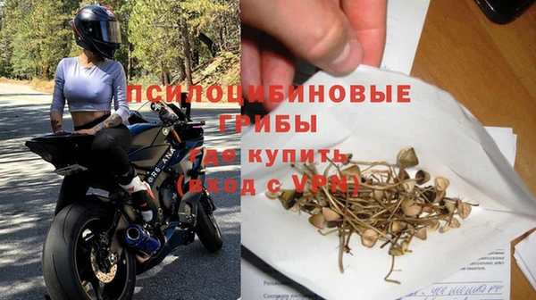 молекула духа Армянск