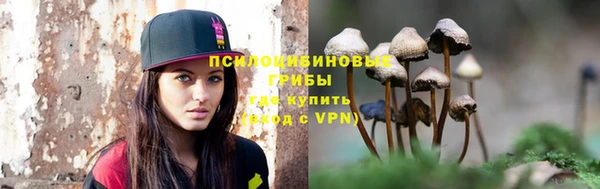молекула духа Армянск