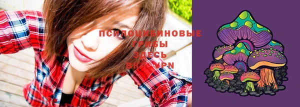 молекула духа Армянск
